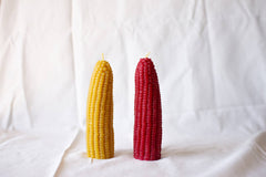 Corn Beeswax Candle | Happy Organics