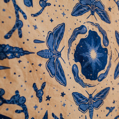 Steller’s Jay & Moths – Eco-Friendly Cotton Bandana | Pine Bones