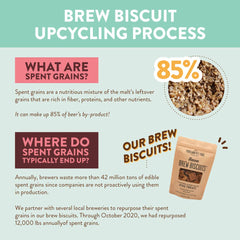 Pumpkin Brew Dog Biscuits | Portland Pet Food Company