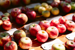 Organic Apples | Heirloom Blend 20# Box