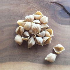 Pastaficio | Heirloom Wheat Dry Pasta - Conchiglie