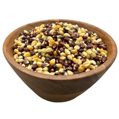 Organic Rainbow Popcorn - 1 lb | True Origin Foods
