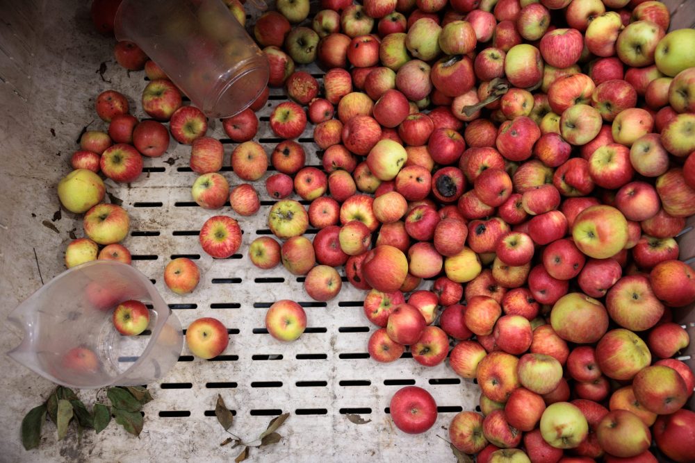 Our New Podcast is LIVE! Episode 1: Sonoma’s (Apple) Core Values
