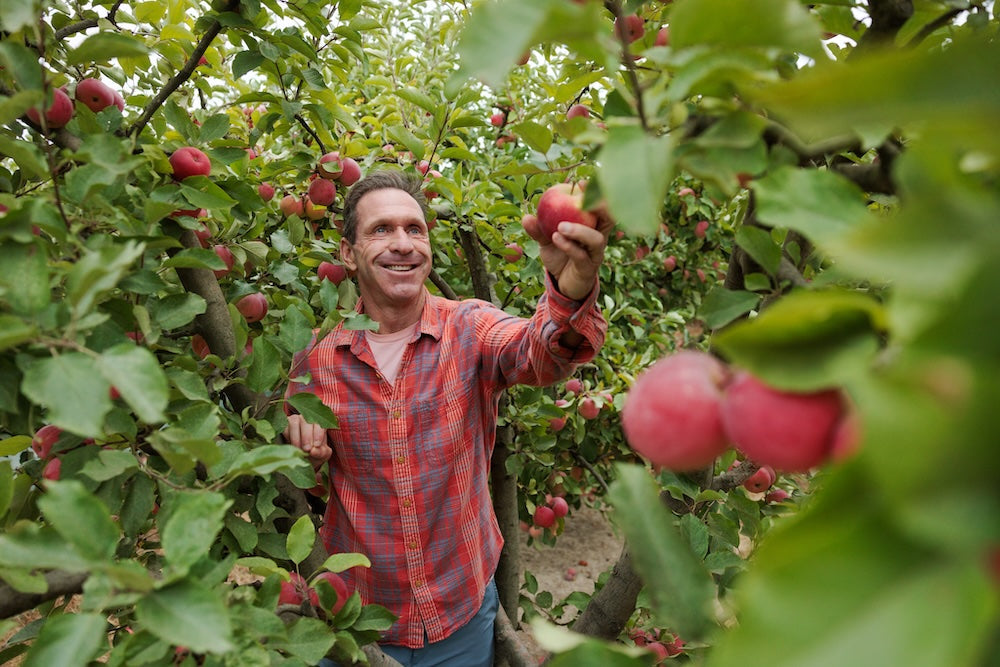 Apple Surprise: New Hope for Pajaro Valley Apple Growers