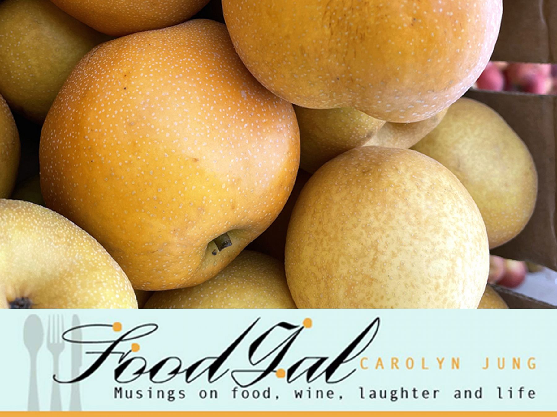 A Visit to Gold Ridge Organic Farms