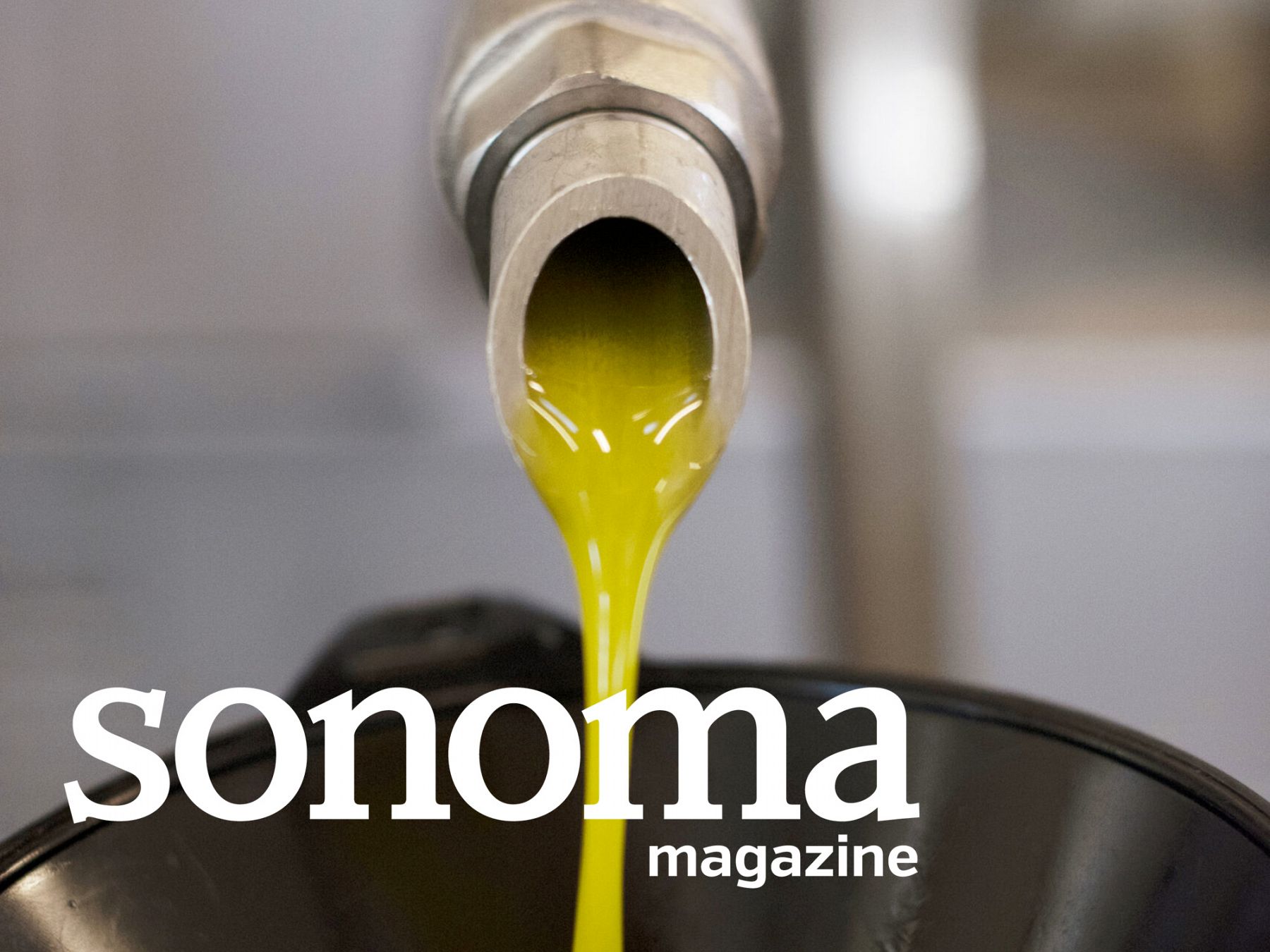 Where to Taste Fresh-Pressed Olive Oil in Sonoma