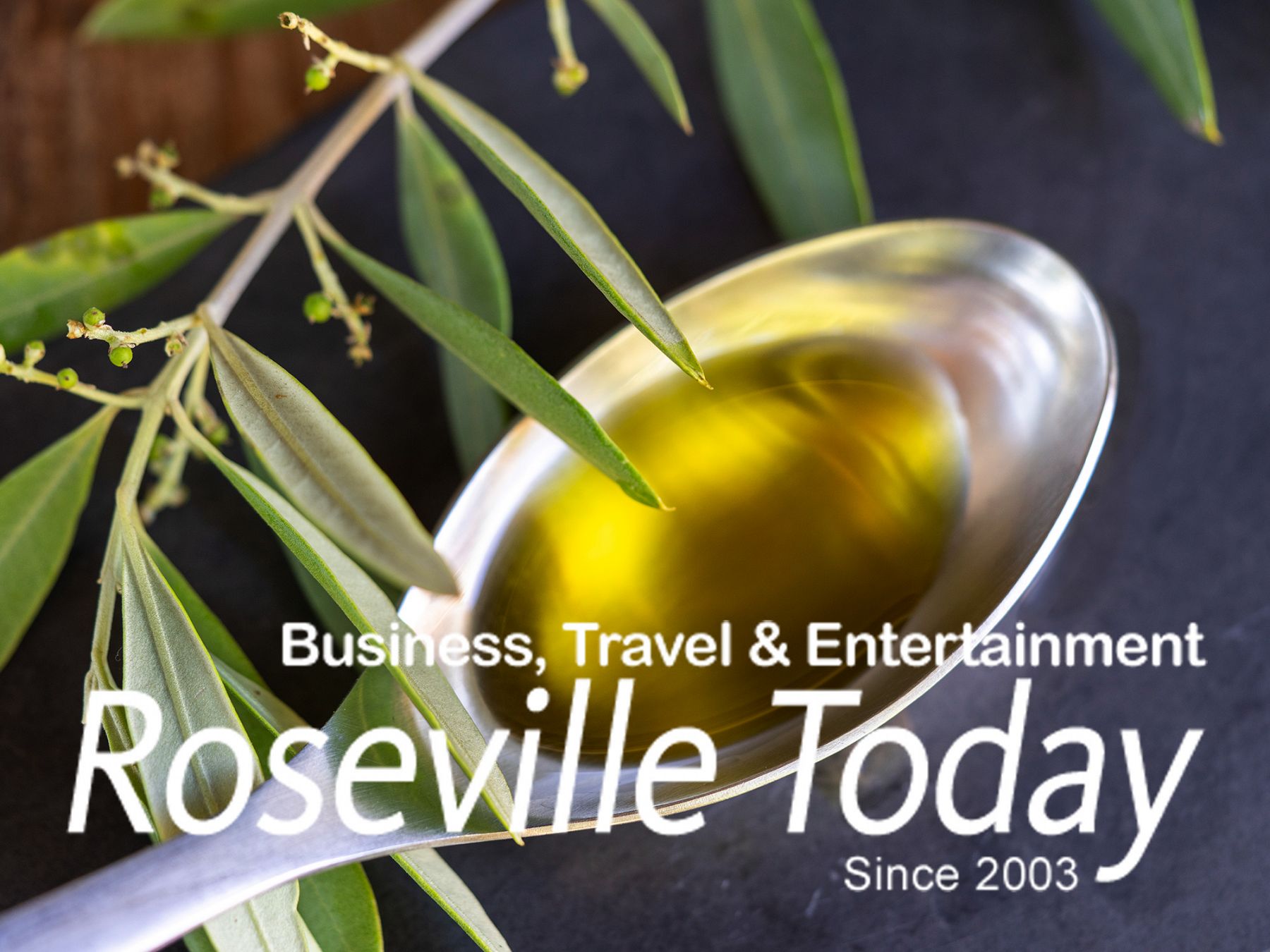 Olio Nuovo: The Freshly Pressed Olive Oil Producers Of Sonoma County