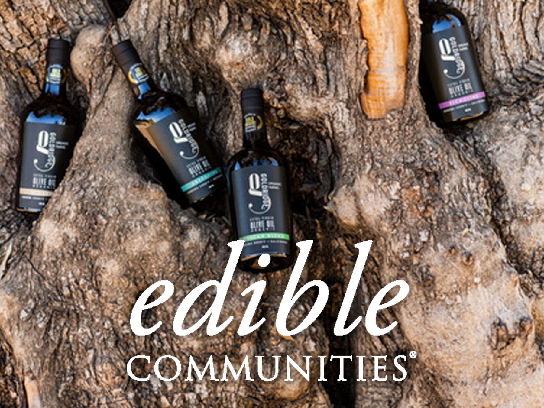 OLIVE OIL HEAVEN: A Guide to California’s New Harvest