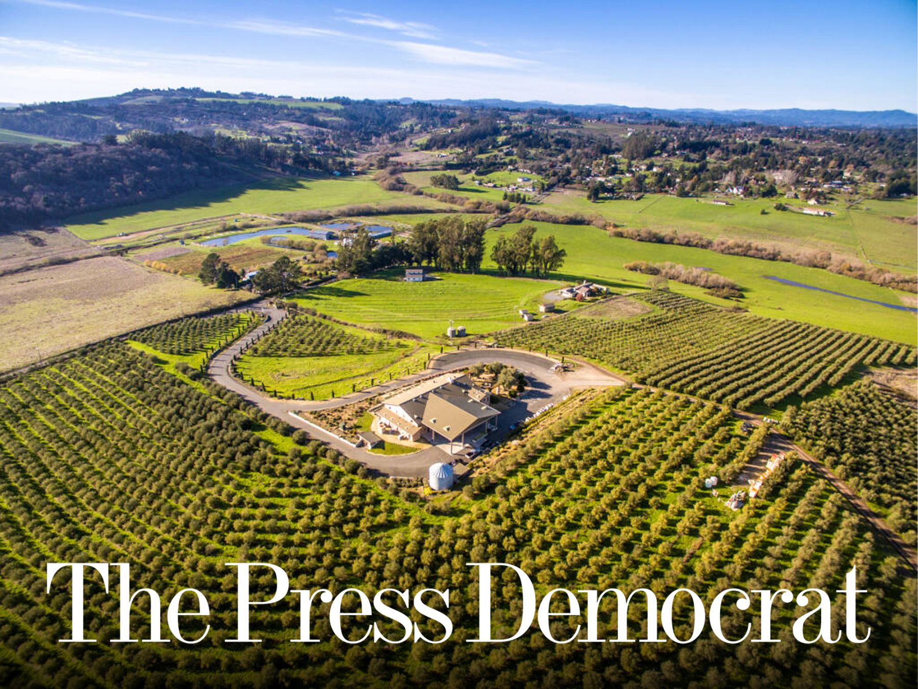 Sonoma lovers celebration at Gold Ridge