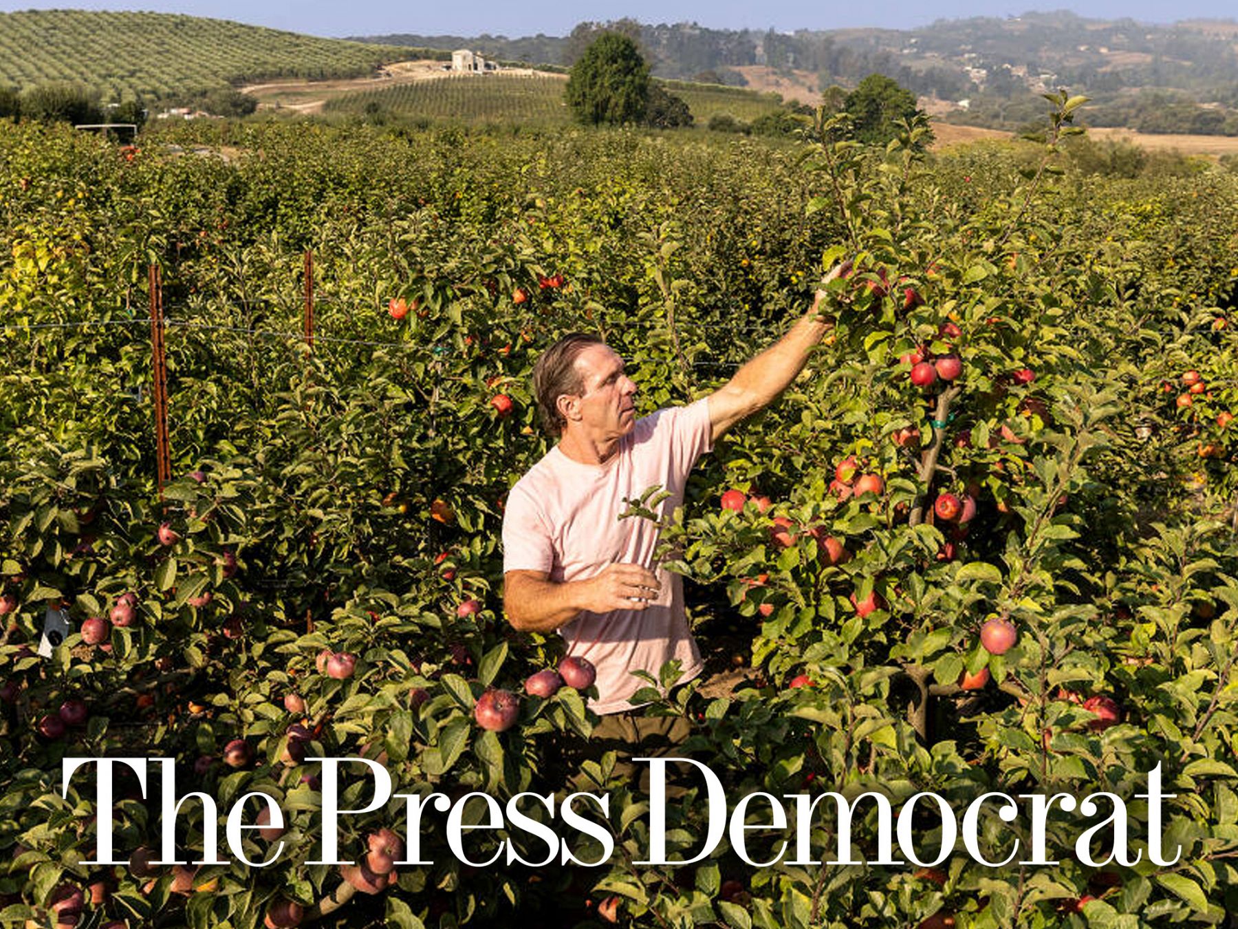 Blossom tour and tasting at Gold Ridge Organic Farms