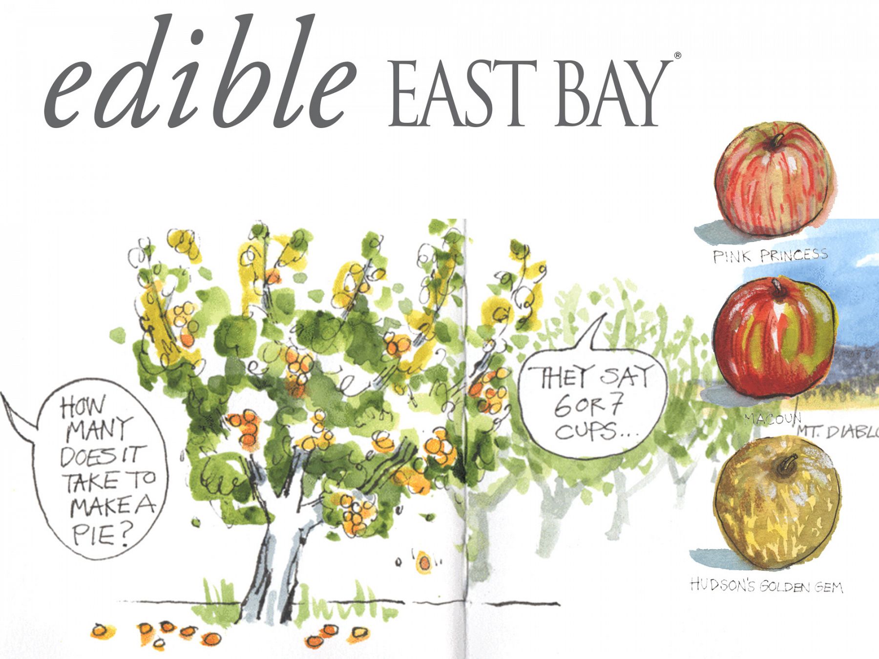 Tasting the California Foodscape