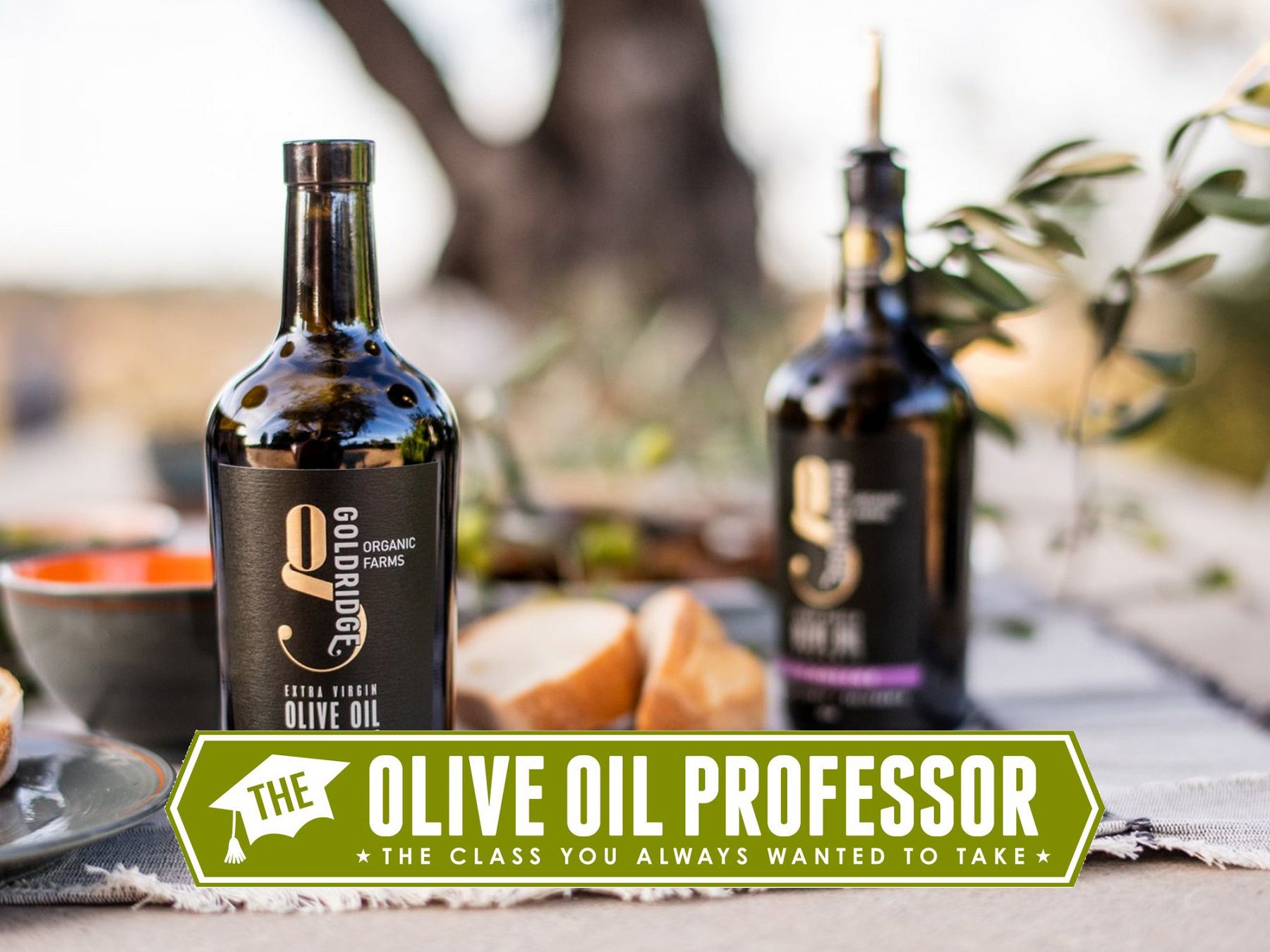 Gold Ridge Organic Farms Olive Oil | The Olive Oil Professor