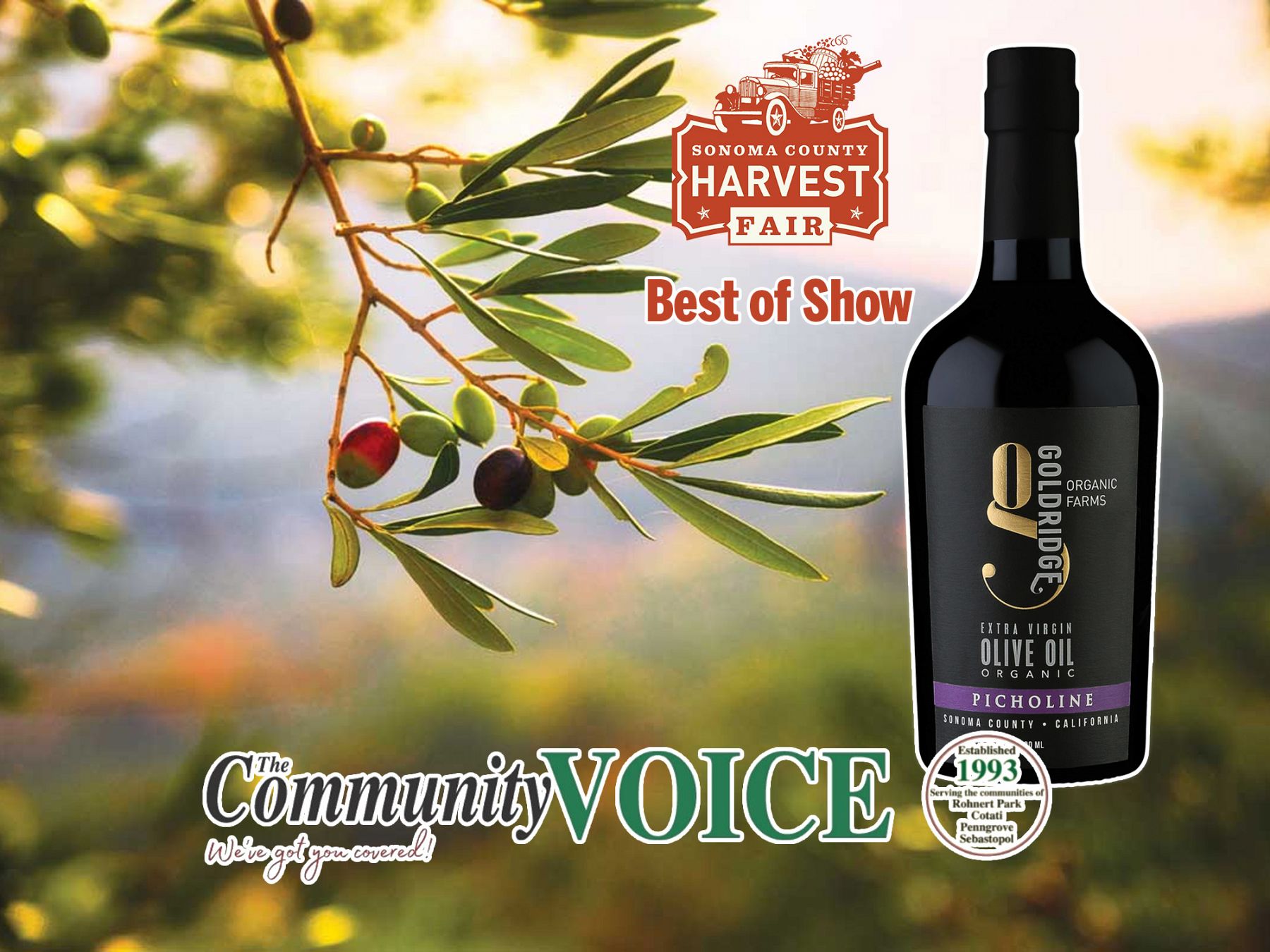 Sebastopol’s Gold Ridge Organic Farms wins top honors