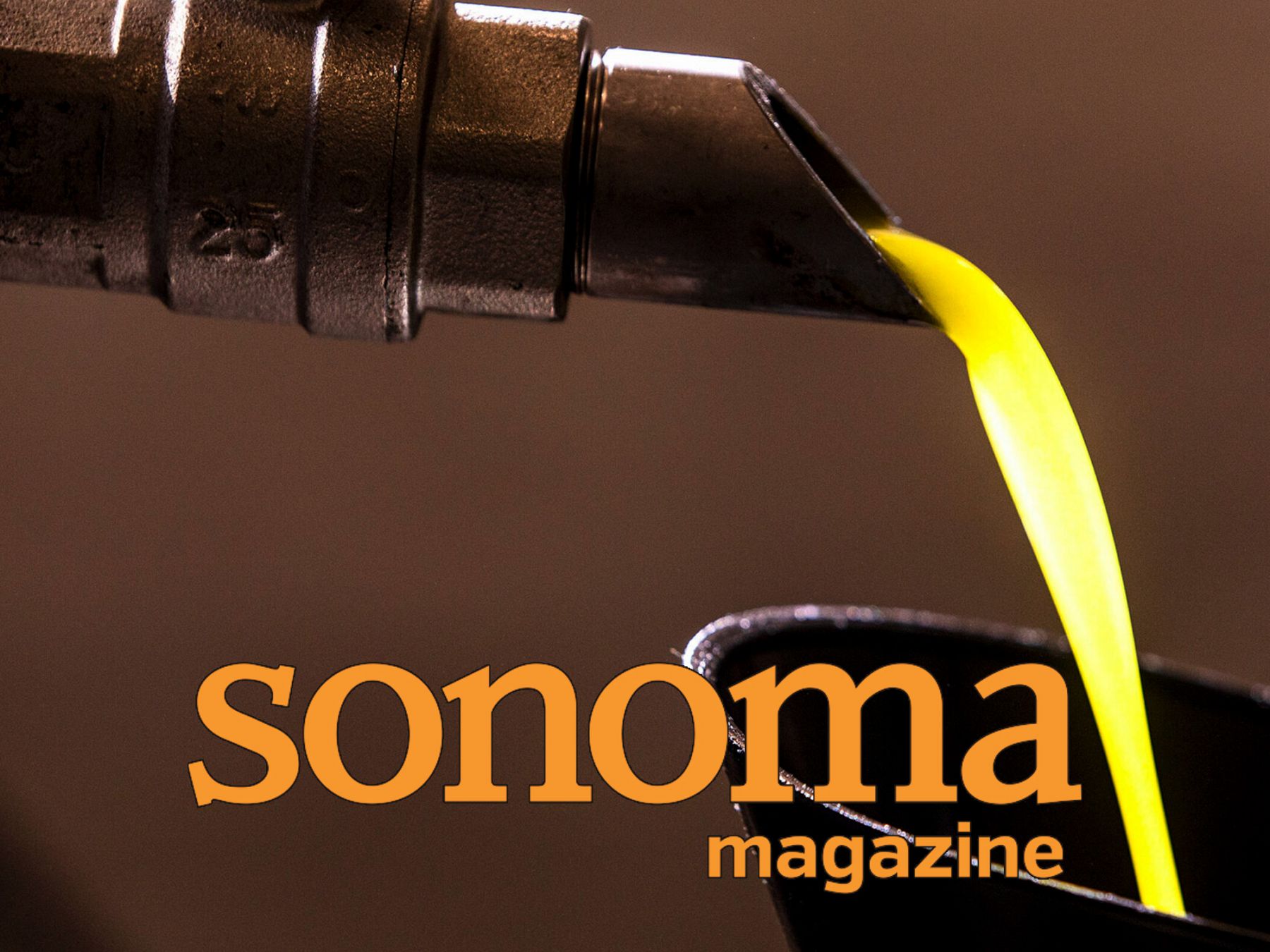 8 Local Places to Taste Freshly Pressed Olive Oil