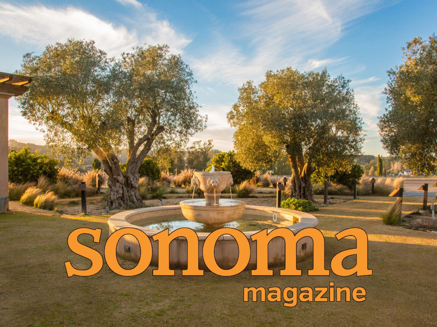 How to Spend a Perfect Day in Sebastopol