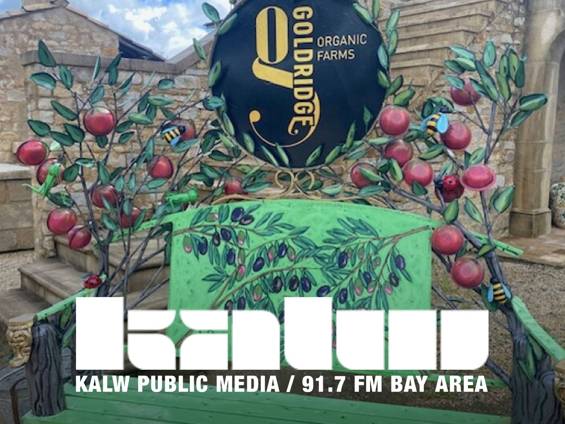 Shifts in Sonoma County's small scale food production