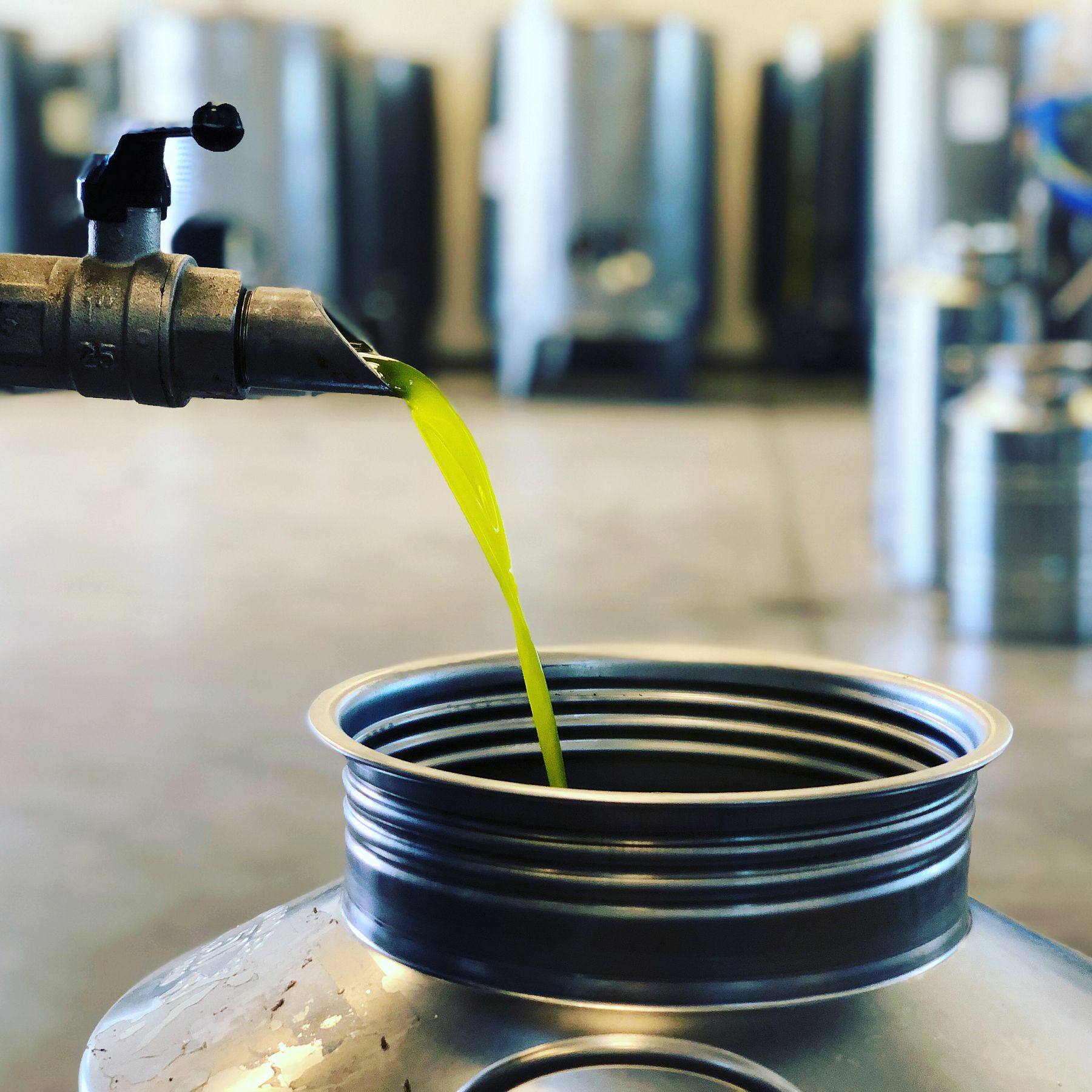 It's Olio Nuovo Season!