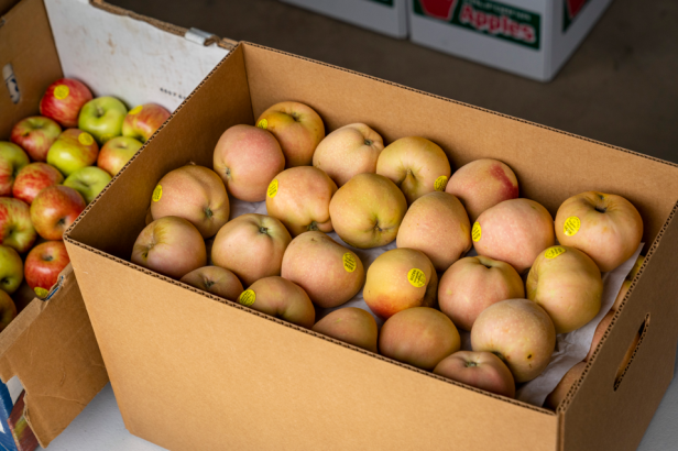 New apple processing plant opens in Santa Rosa