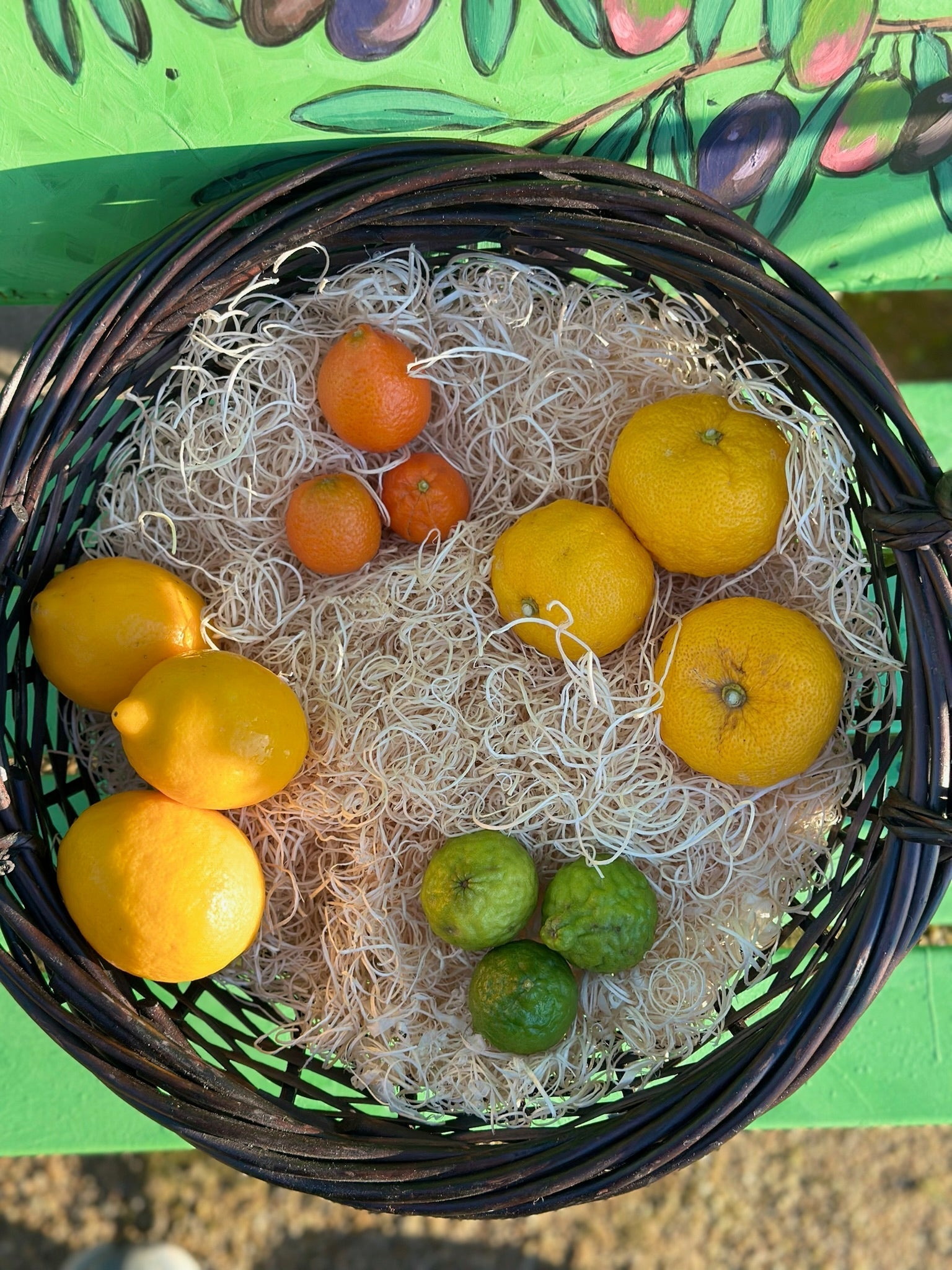Citrus Season is HERE! Highlighting our organic Meyer Lemons