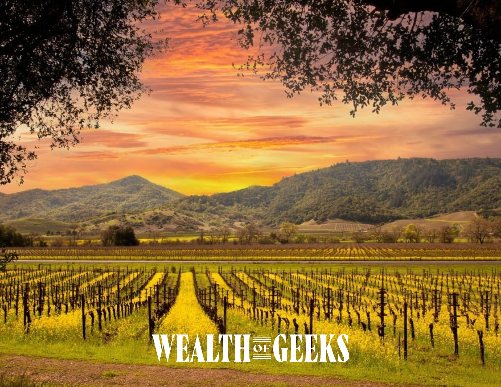 Wine With a Purpose: How Your Sonoma Getaway Can Nourish More Than Just Your Palate