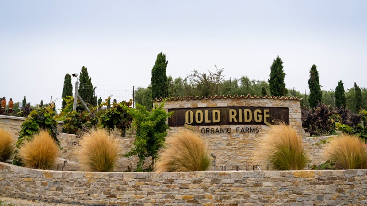 Gold Ridge Organic Farms earns three Gold Awards at the 2026 NYIOOC