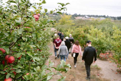Farm Trails Fall Tour