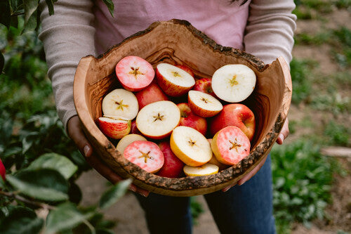 52nd Annual Gravenstein Apple Fair