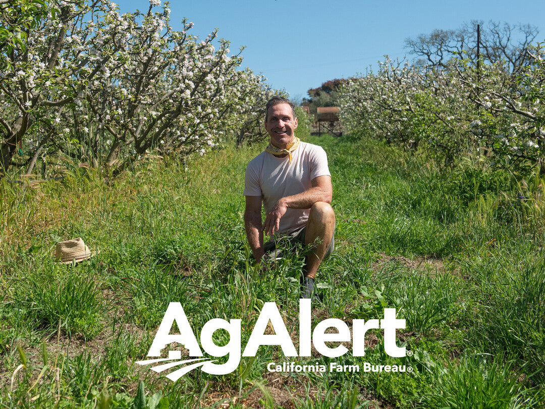 From the Fields: Brooke Hazen on Farming, Community, and the Future of Direct-to-Consumer Agriculture