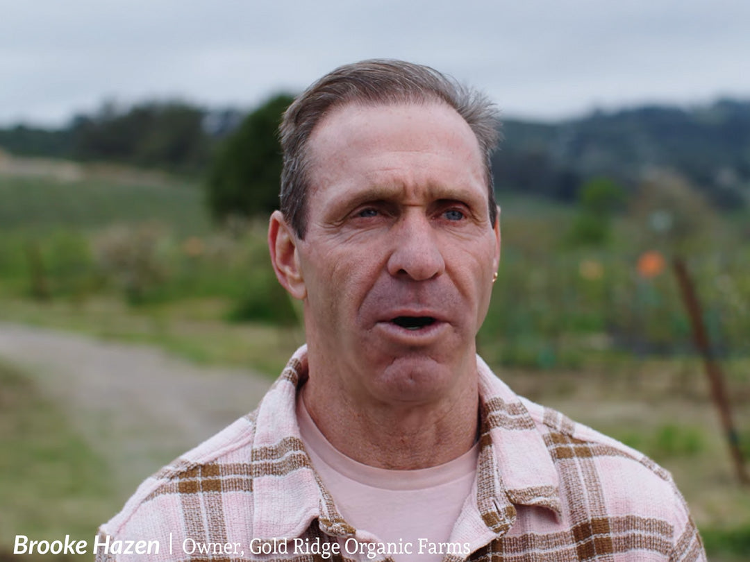 A Springtime Portrait of Gold Ridge Organic Farms