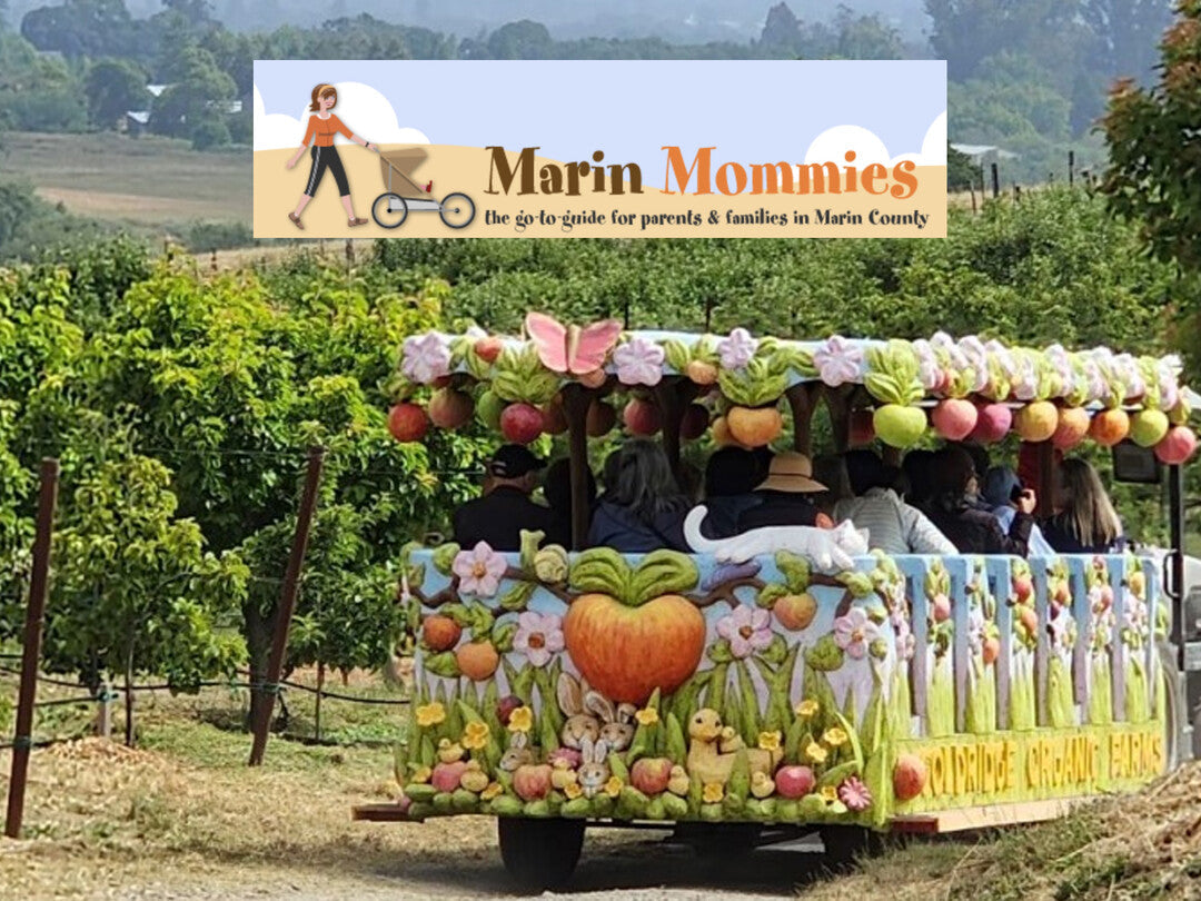 Celebrate the Season at Gold Ridge Organic Farms’ Heirloom Apple Festival & U-Pick