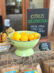 Organic Citrus | Meyer Lemons | 10 pound box
