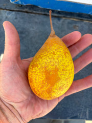 Organic Pears | Heirloom Asian Blend - 20 pound box