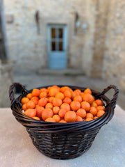 Organic Citrus | Mandarin-Kumquats | 5 pound box
