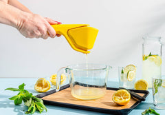 Fluicer | Citrus Squeezer | 10 "