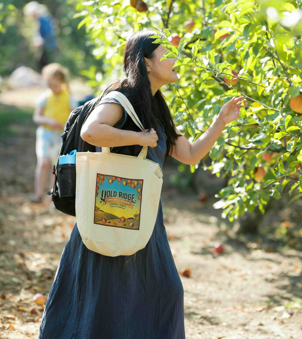 Canvas Apple Picking Bag (Large)