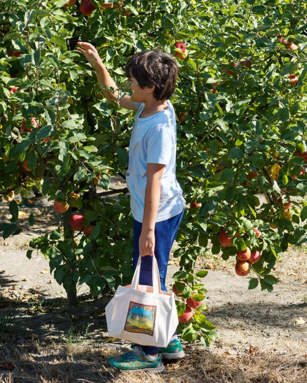 Canvas Apple Picking Bag (Small)